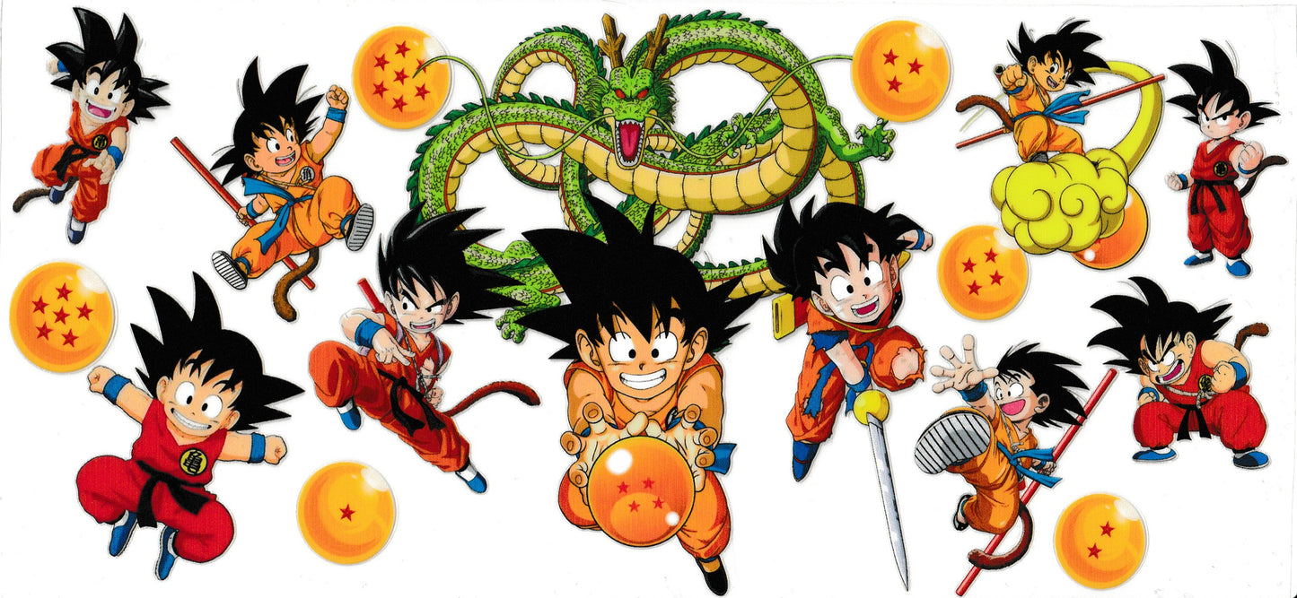 DBZ9