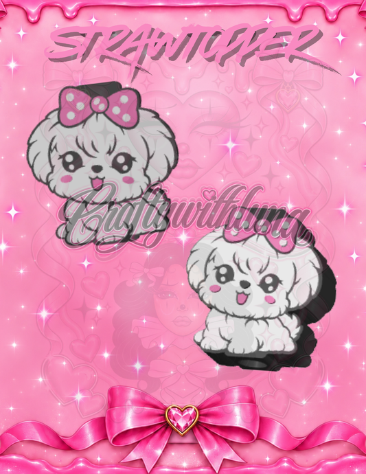 Bichon maltes puppy Strawtopper